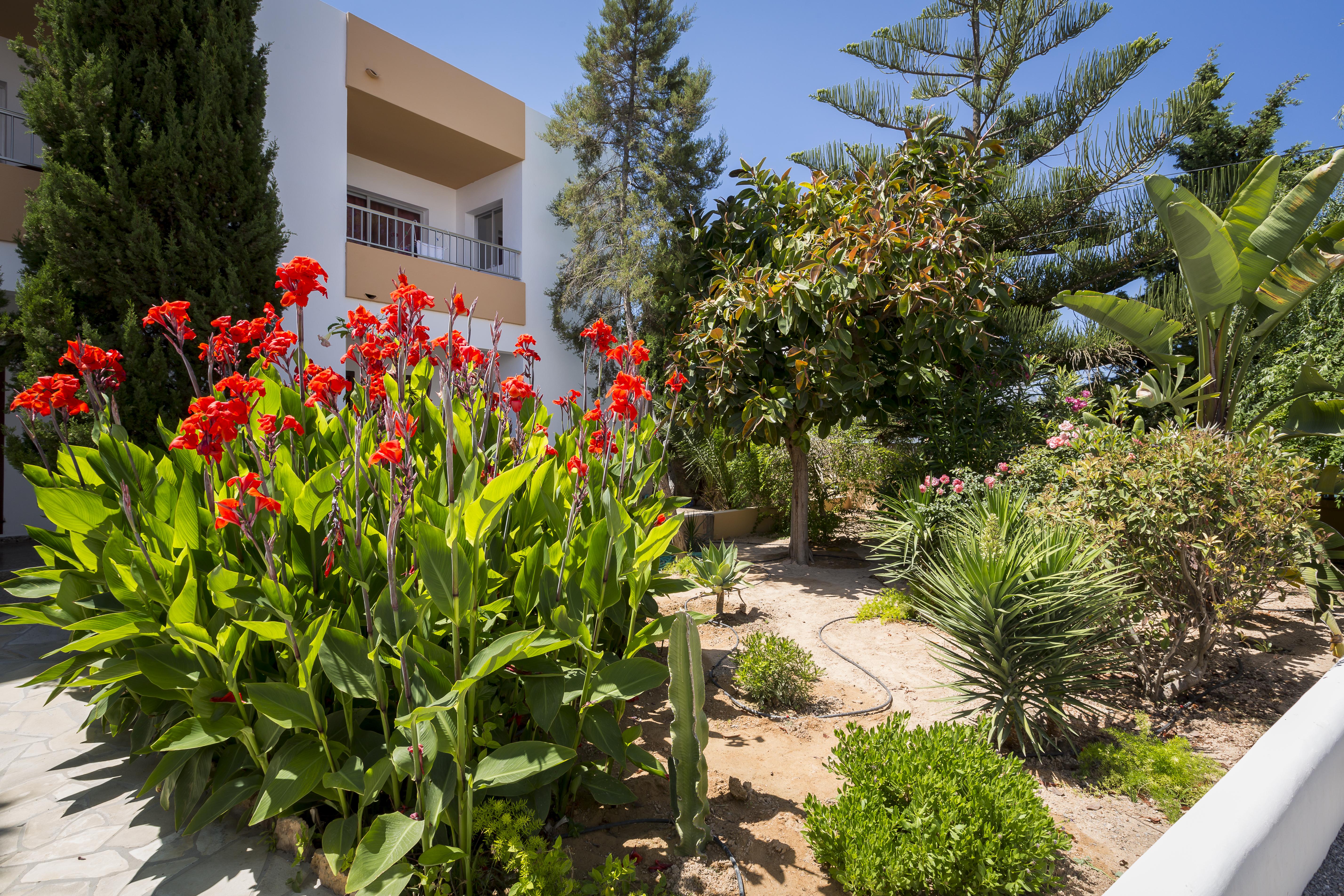 Apartamentos Zodiac Sant Antoni de Portmany Exterior foto