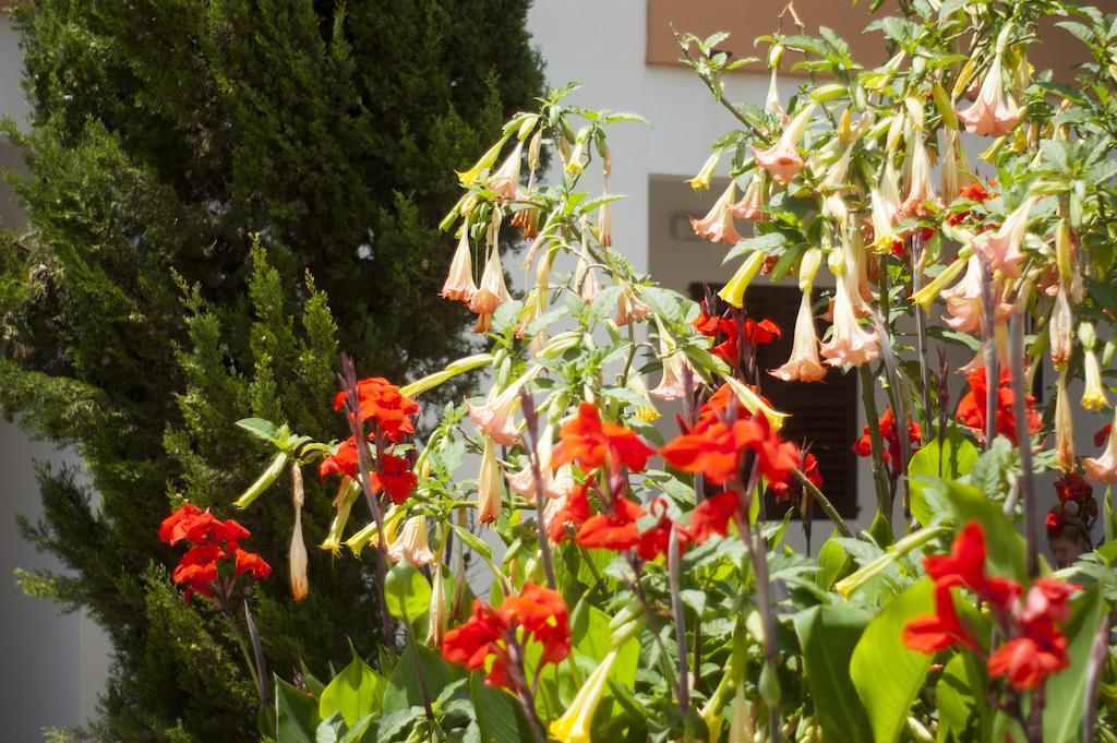 Apartamentos Zodiac Sant Antoni de Portmany Exterior foto